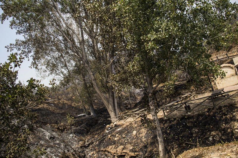 El paraje de El Surar, arrasado por el incendio