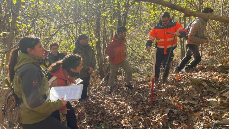 Toma de muestras en los terrenos de Pumardongo, propiedad de Hunosa. | Grupo de investigación «SmartForest».