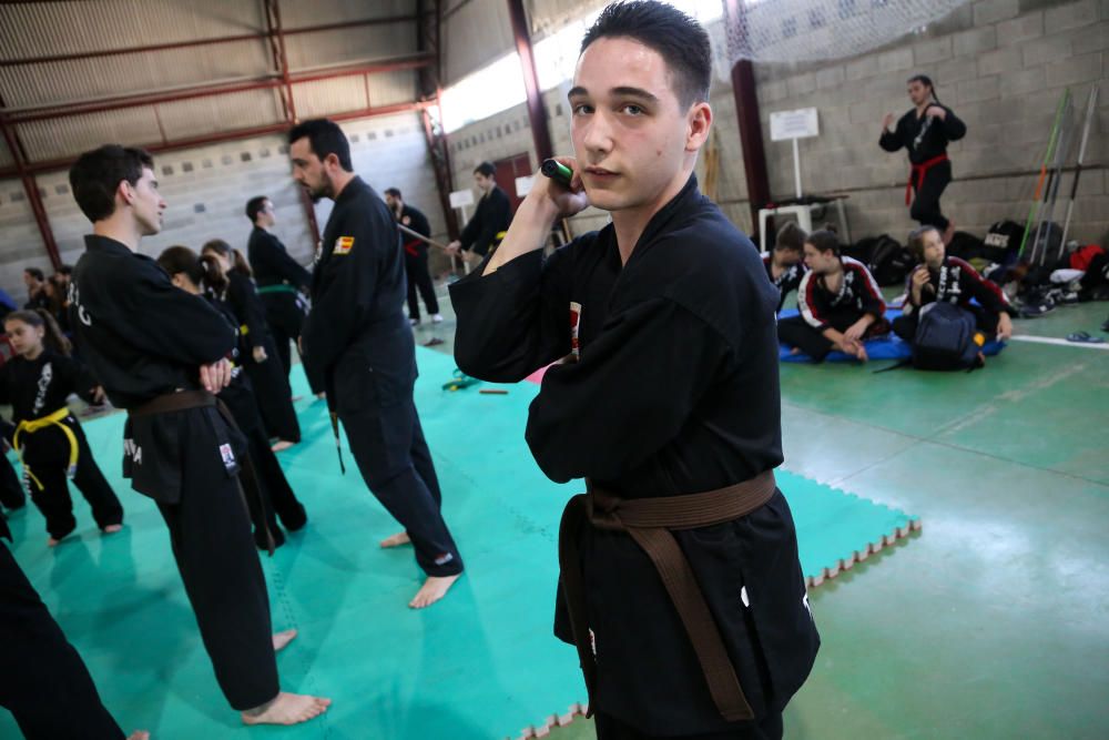 Campeonato regional de hapkido