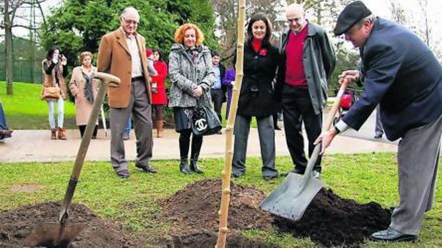 Julio César Velasco planta la morera en el parque Antonio García Lago.