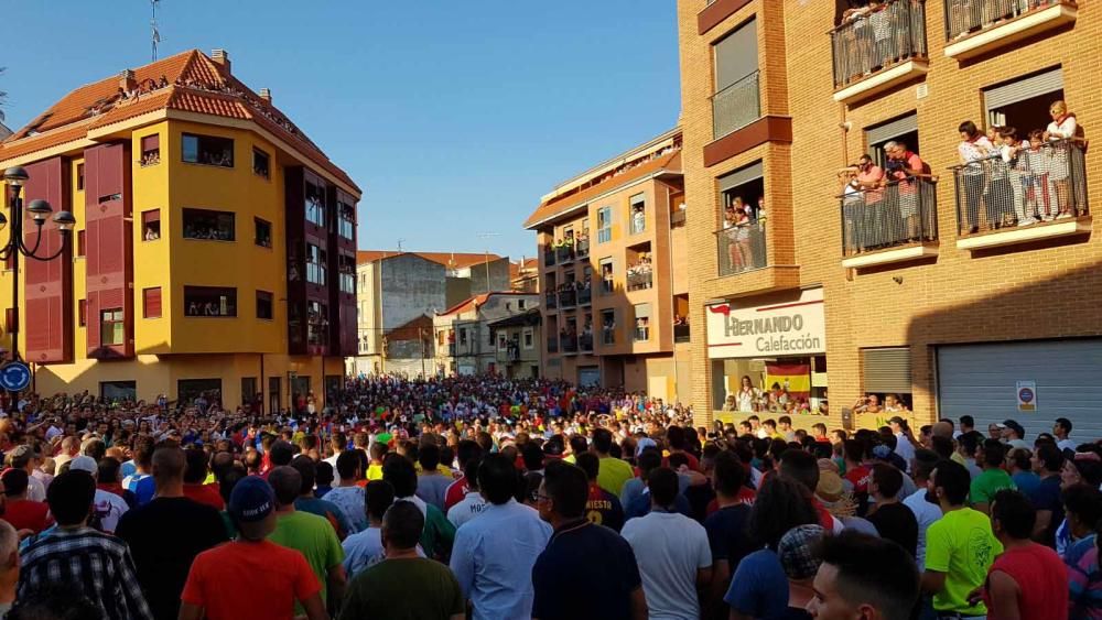 La carrera del Toro Enmaromado 2017 Razonador