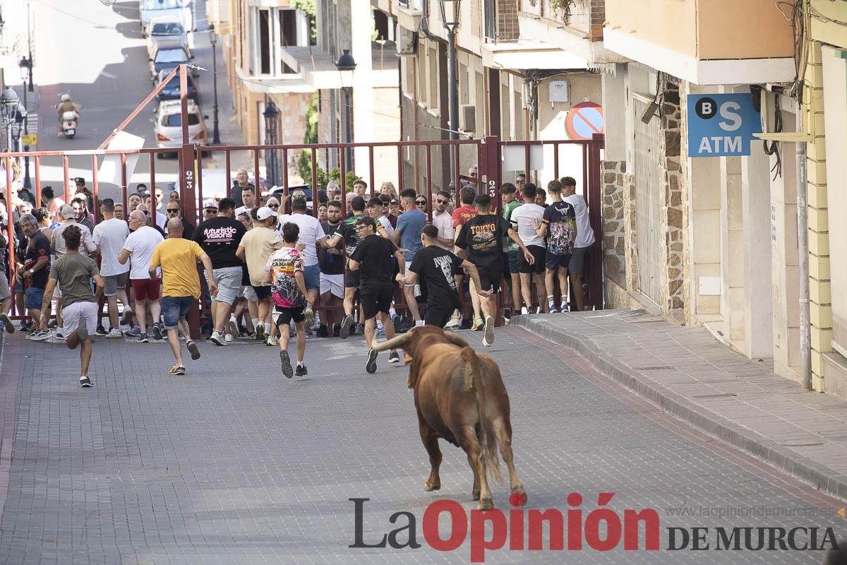 Tercer encierro de las Fiestas de Moratalla