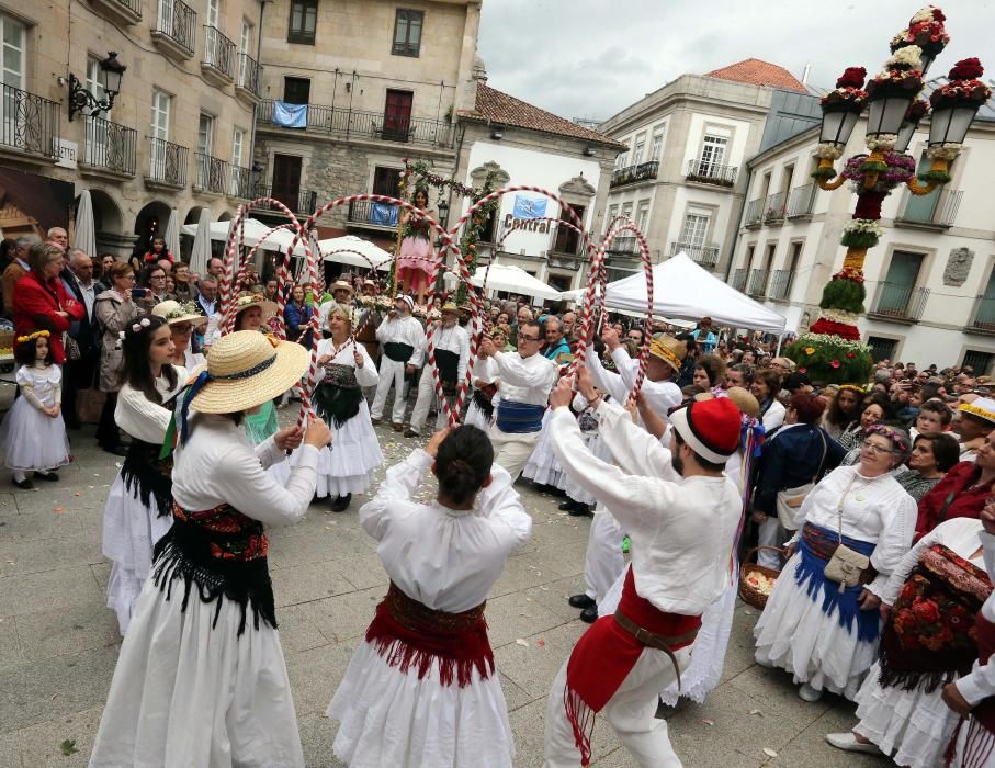 La Festa dos Maios llena de color el Casco Vello y "espanta" el invierno con flores y música