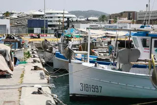 Aviso a pescadores furtivos: hasta 150.000 euros de multa por estas capturas