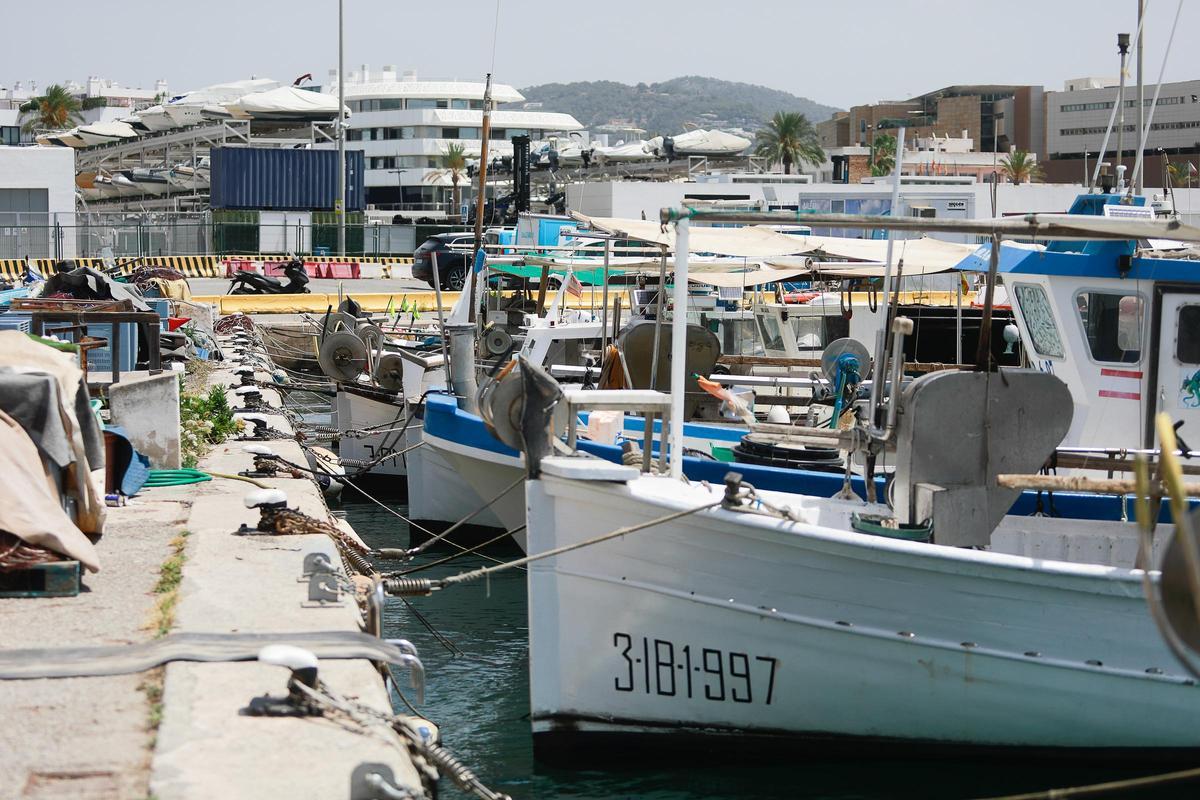 Varios barcos de pescadores en el puerto de Ibiza