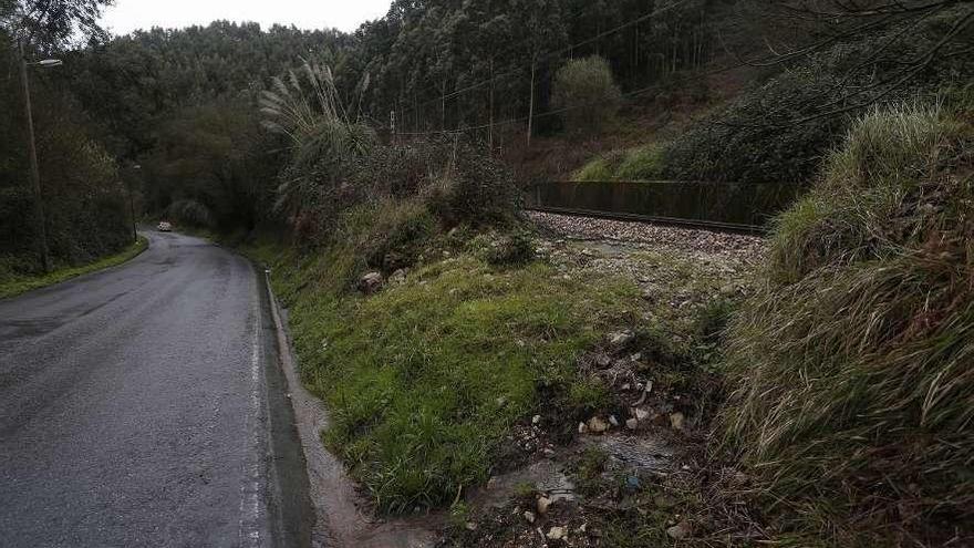 Carretera de Salinas a Coto Carcedo. A la derecha, la vía de Feve.