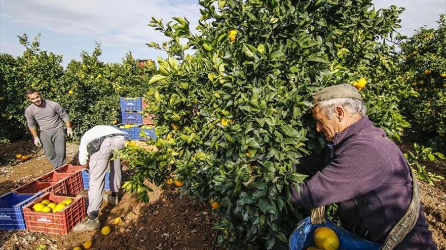 Casi 2.000 millones en 5 años para el campo