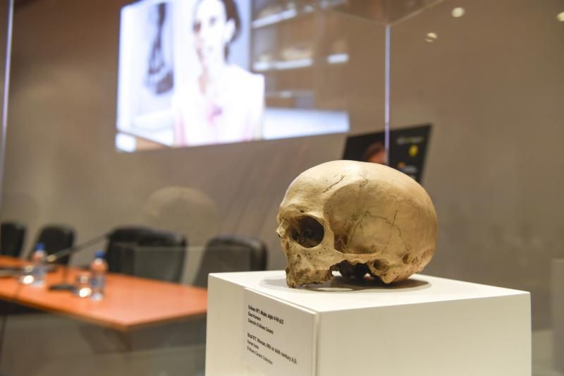 GENTE Y CULTURA  03-12-2018 LAS PALMAS DE GRAN CANARIA. Reconstrucción de una aborigen del siglo VI. La conservadora del Museo Canario, Teresa Delgado, y el director de la empresa de arqueología Tibicena, muestran la reconstrucción del rostro de una aborigen del siglo VI ..  FOTOS: JUAN CASTRO  | 03/12/2018 | Fotógrafo: Juan Carlos Castro