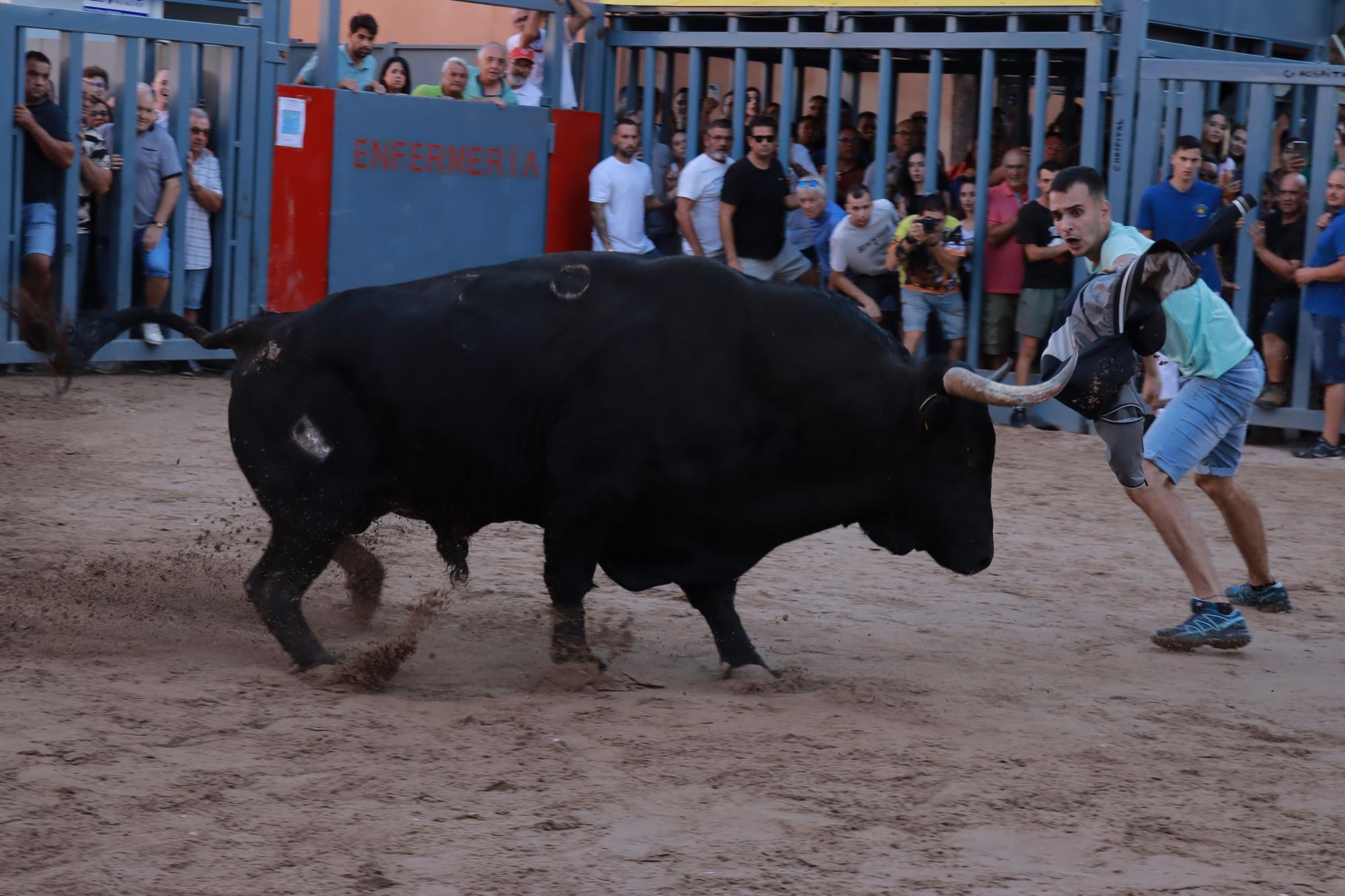 Vila-real galería bous