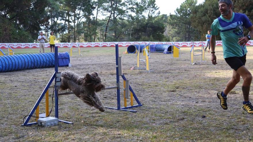 Concurso nacional canino de A Toxa