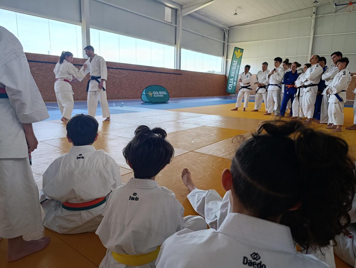 La Fresneda, en Siero, "feminiza" los tatamis de su polideportivo