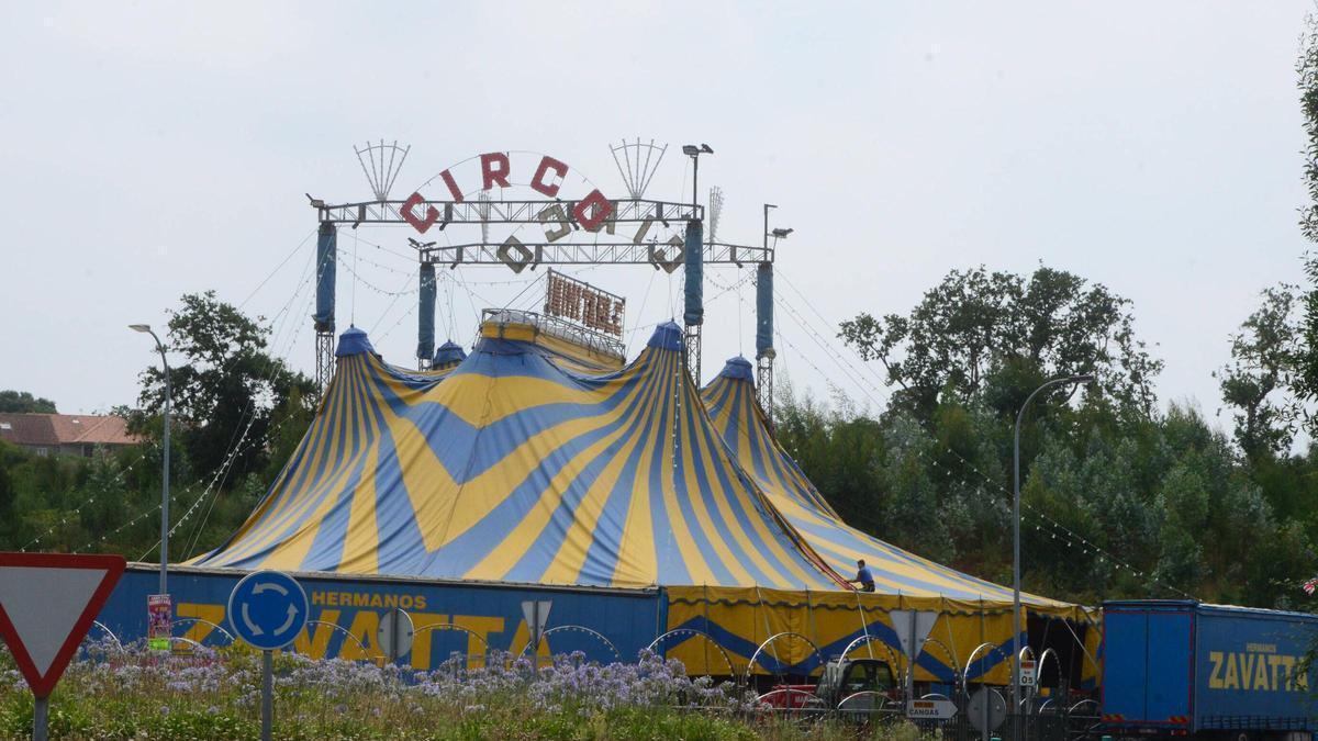 El circo llega a la ciudad