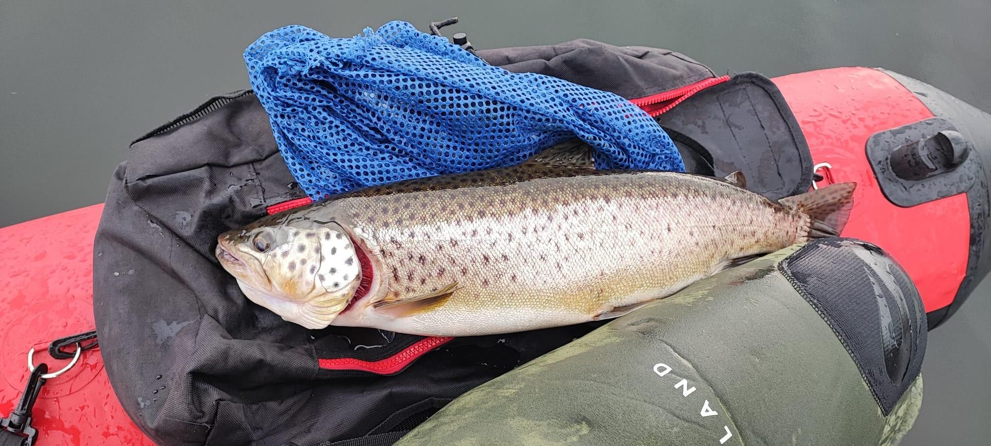 La temporada de pesca continental ha comenzado, pero solo para la trucha, ya que el salmón y el reo esperarán al 1 de mayo.