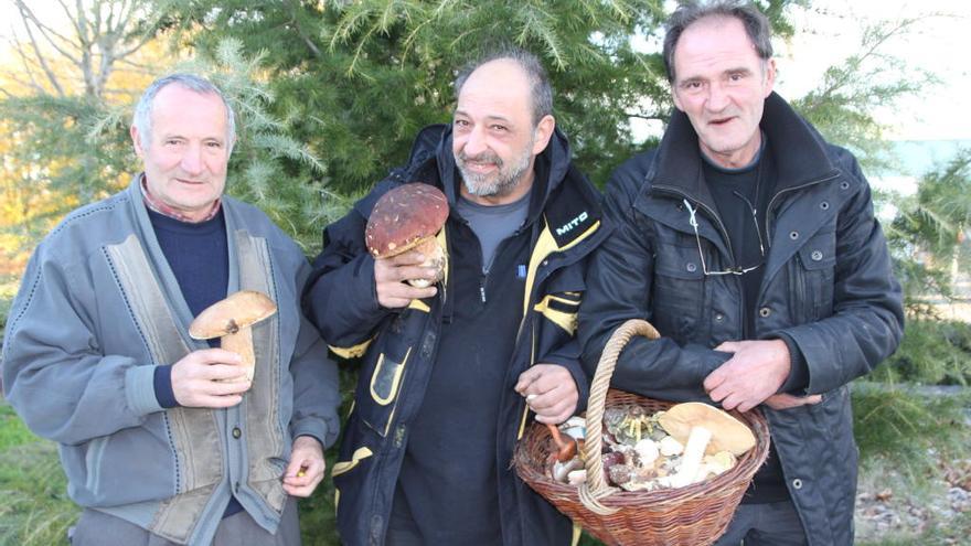 Tres personas muestras ejemplares de setas recogidas en Rabanales