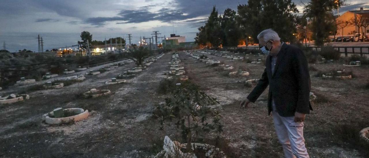 A la izquierda, zona del parque Ferrández Cruz que los vecinos quieren convertir en huerto. A la derecha, un momento de la presentación del proyecto, ayer.  | ANTONIO AMORÓS