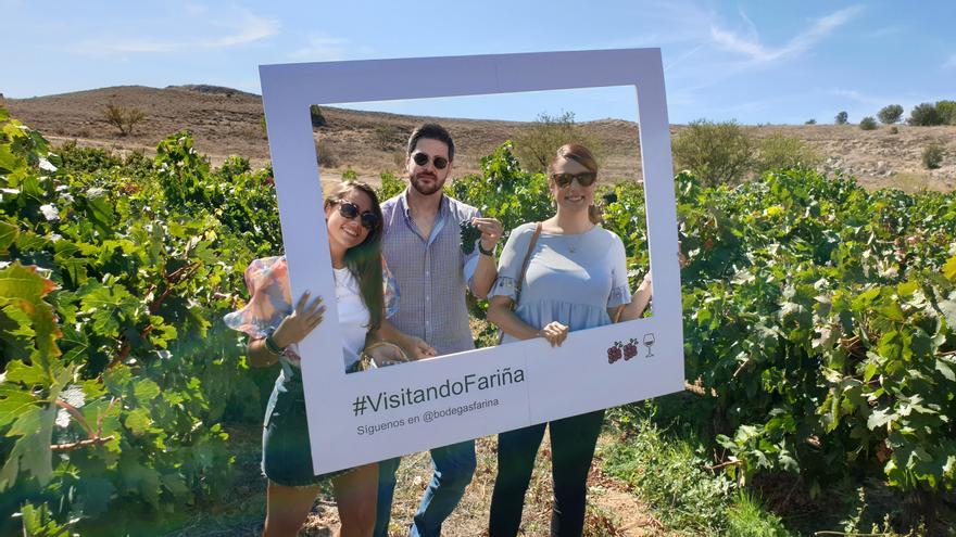 La vendimia en la DO Toro, un reclamo turístico