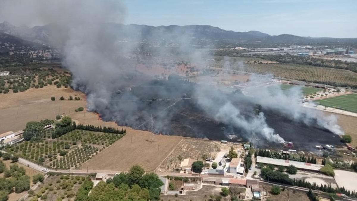 El fuego destruye un amplio espacio agrícola en Palma