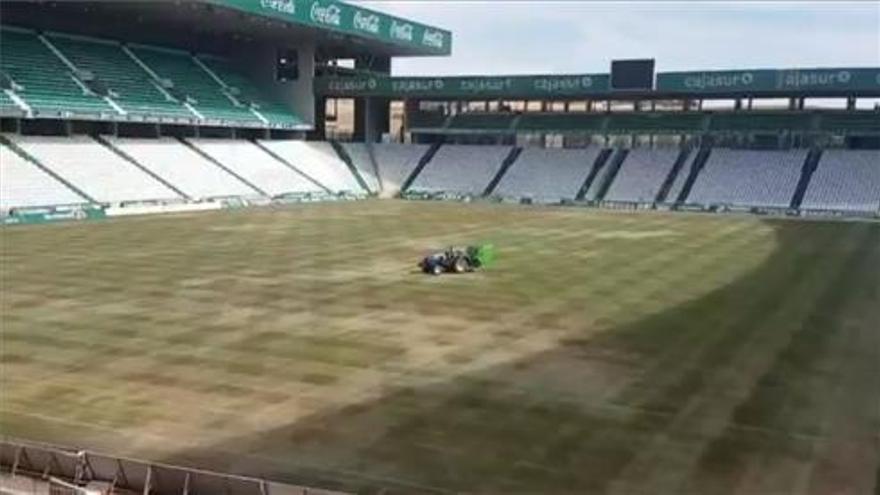 Vicandi Garrido dirige el último partido del Córdoba en el fútbol profesional