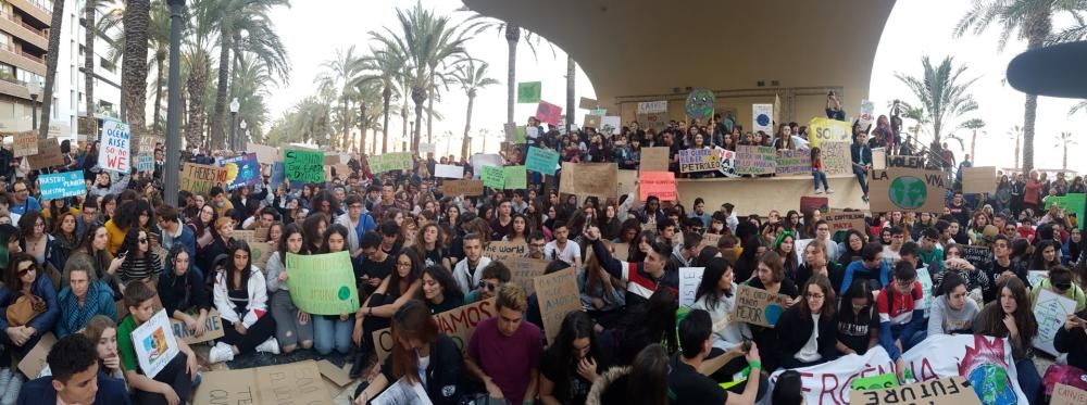 Clamor joven en Alicante contra el cambio climático
