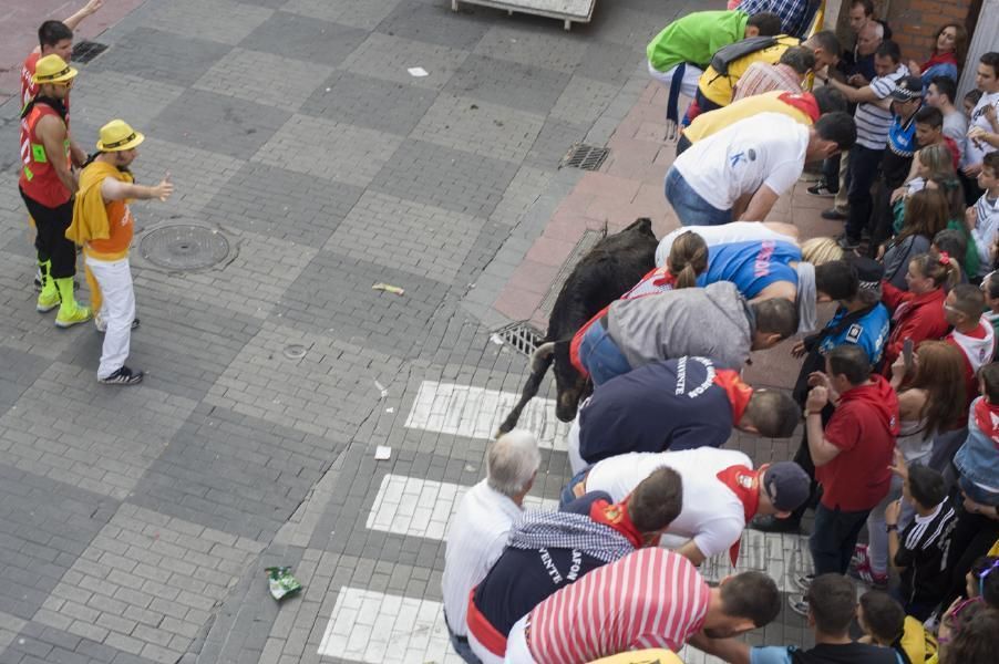 Becerrada, encierros y vaca de la sangría