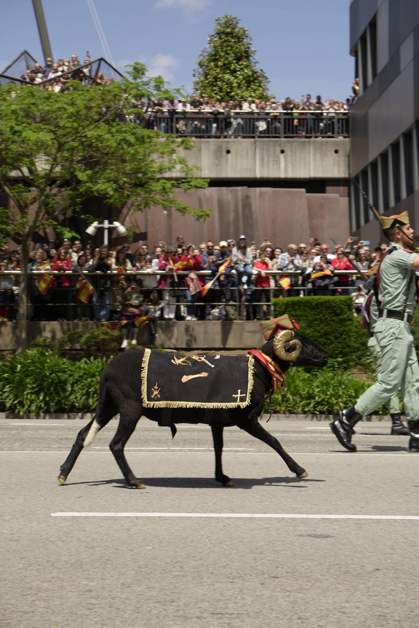 EN IMÁGENES: Así fue el multitudinario desfile en Oviedo por el Día de las Fuerzas Armadas