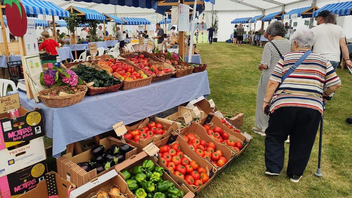 Productos frescos de la huerta, en una pasada edición de la feria ecológica que se celebra en agosto en Llanera.