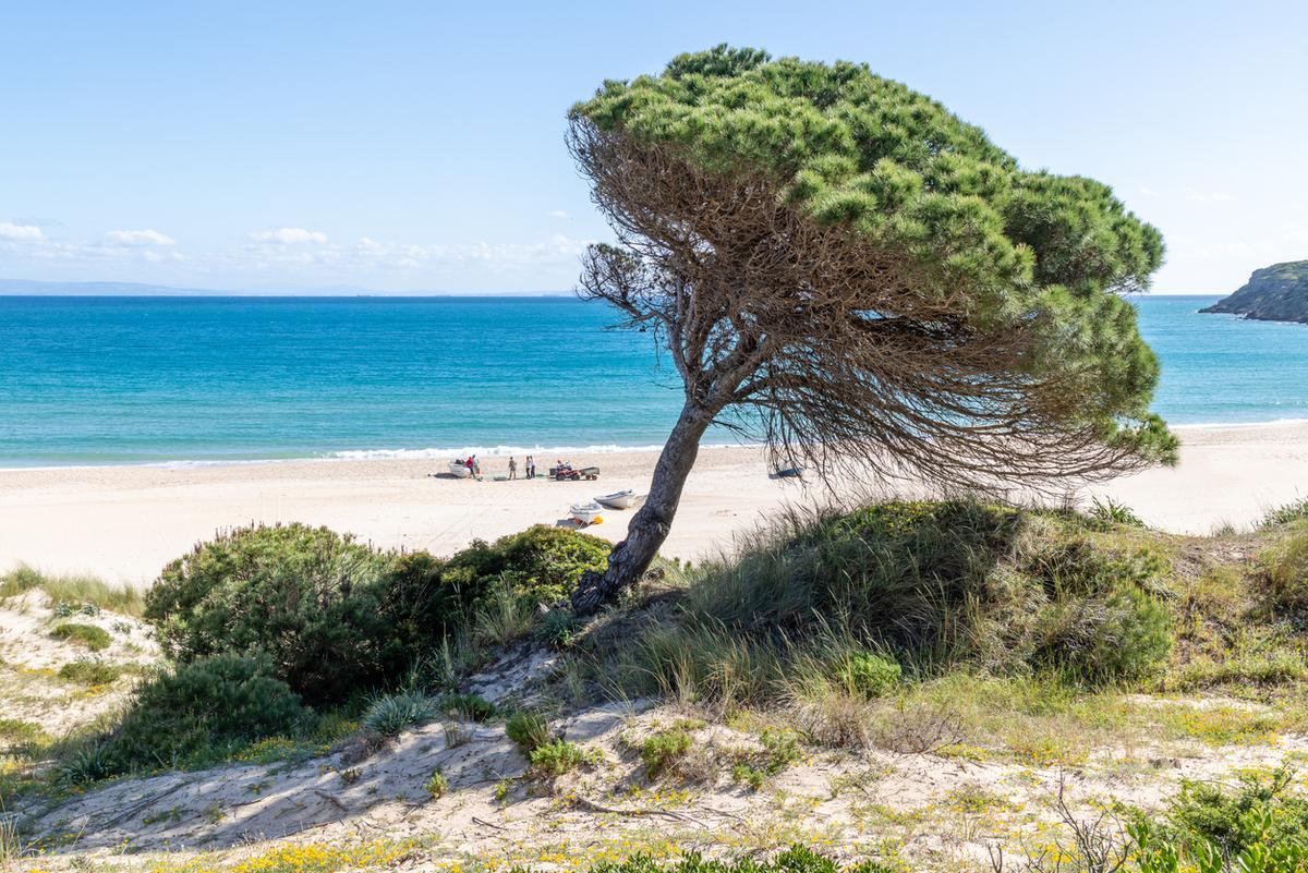 Paisaje de la Playa de Bolonia, en Cádiz.