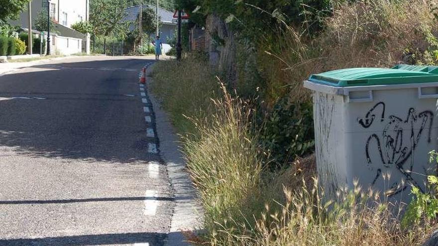 Contenedor de basura en San Martín de Castañeda.