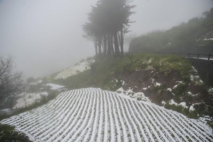 NIEVE EN LA CUMBRE