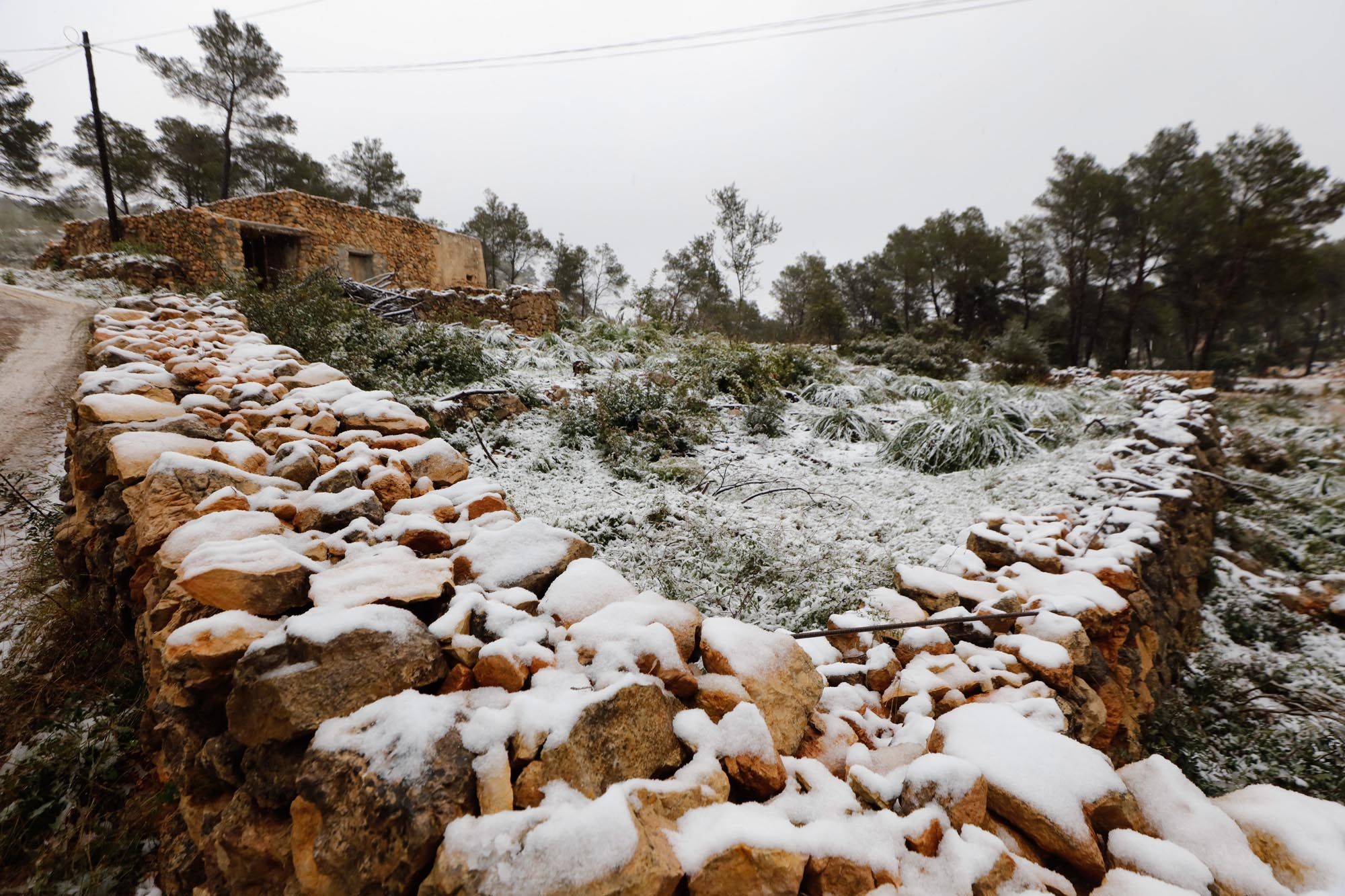 Galería de imágenes de la nieve por la borrasca Juliette en Ibiza