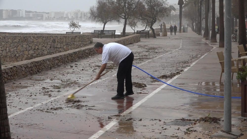 Mallorca räumt auf nach dem Sturmtief Gloria