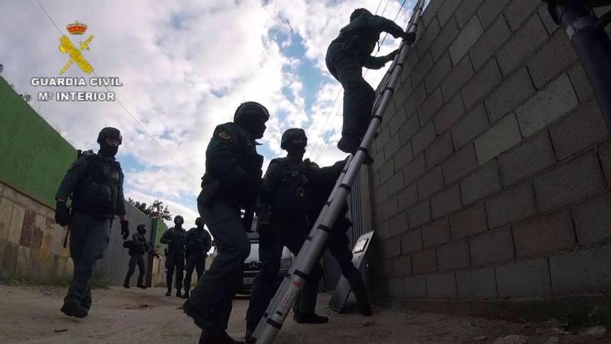 Una de las operaciones de la Guardia Civil contra el maltrato animal