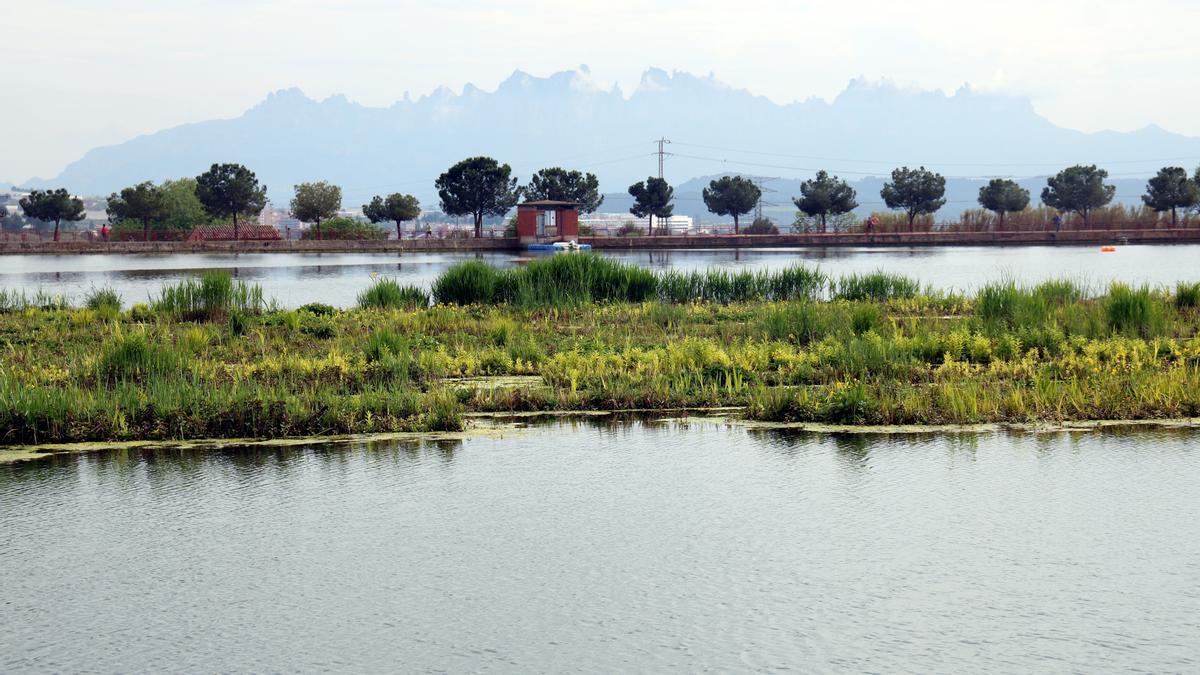Vista del parc de l'Agulla