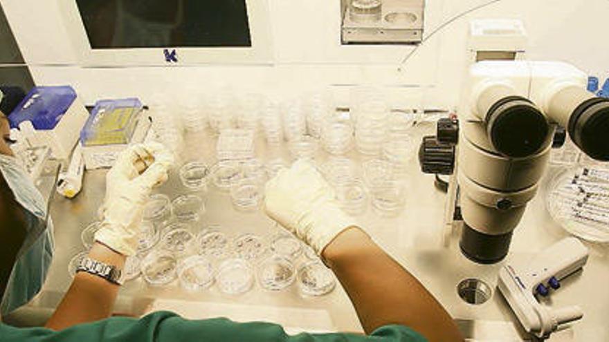 Una mujer trabaja en un laboratorio de fecundación &#039;in vitro&#039;.