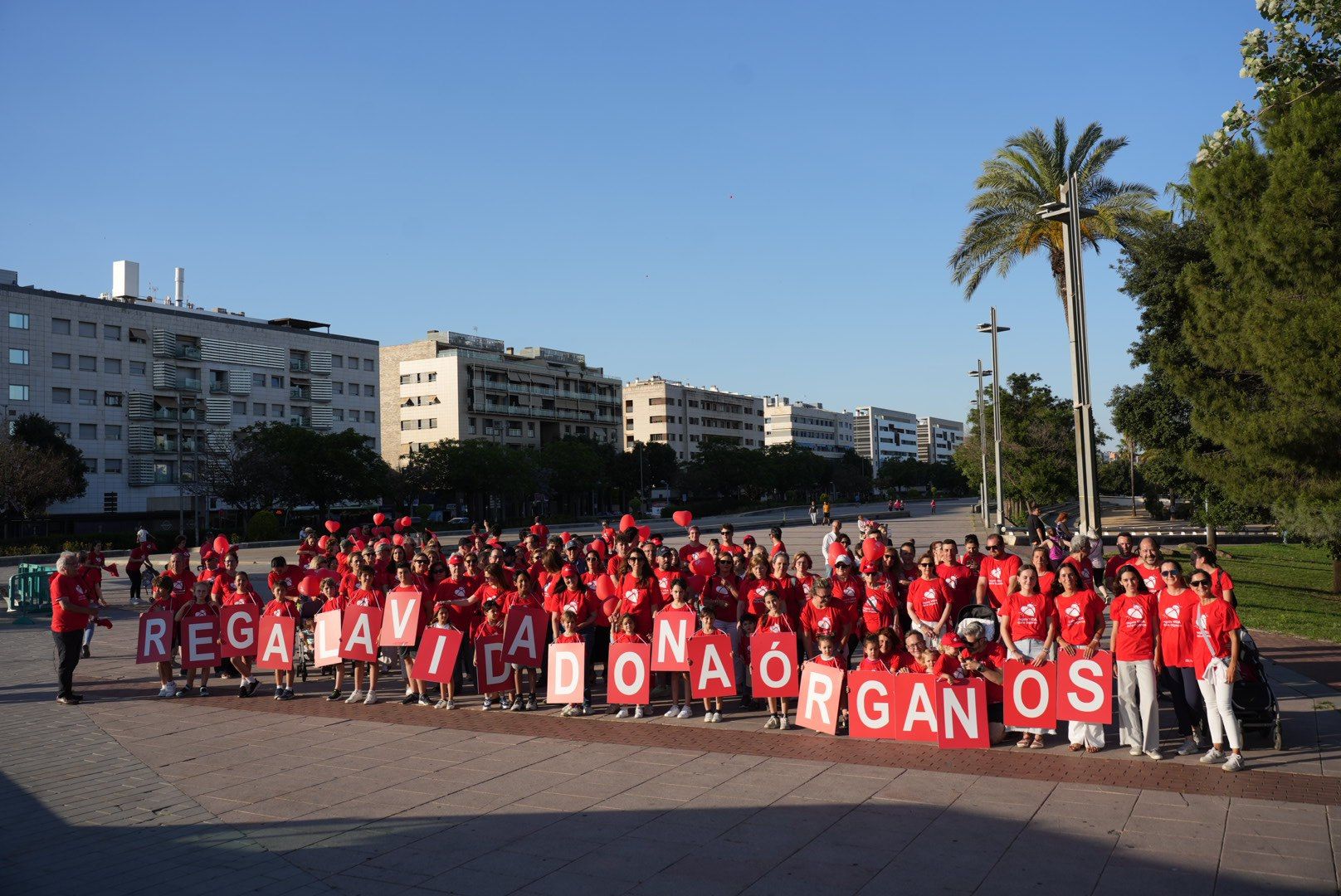 La marcha por la donación de órganos, en imágenes