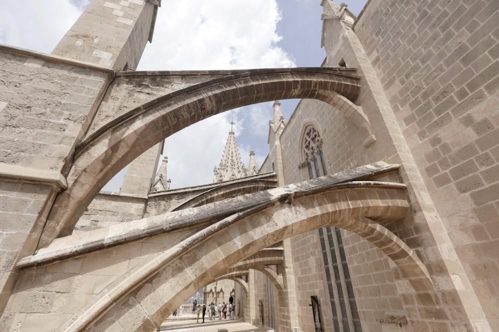 Visita guiada a las terrazas de la Seu