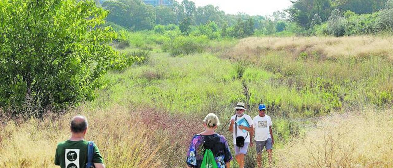 Integrantes de Agró y vecinos, en un tramo del rio Palància próximo a la desembocadura. | TORTAJADA