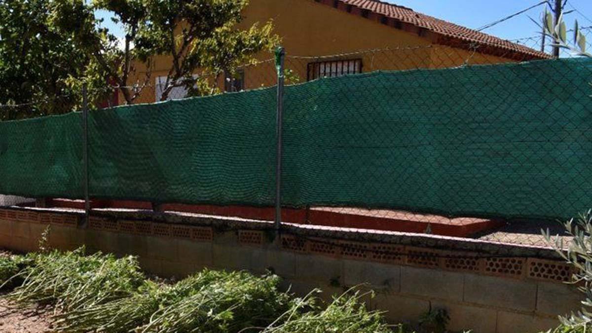 Robatori a punta d’escopeta en una casa de Tarragona on s’assecava marihuana