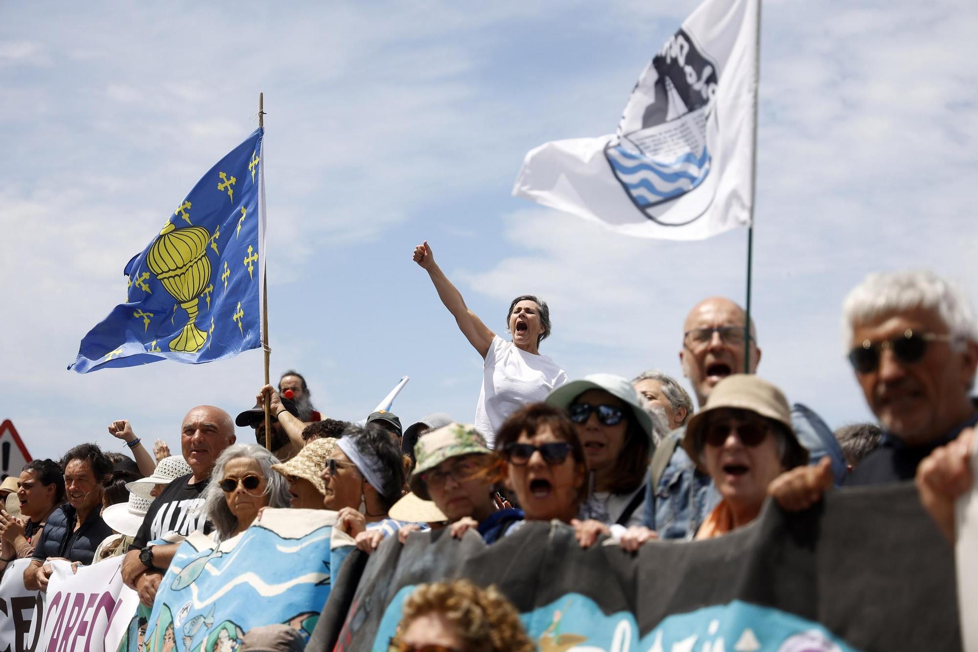 Miles de gallegos marchan de Pontevedra hasta Lourizán en protesta por las celulosas de Ence y Altri