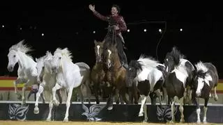 El cordobés Paco Martos llevará la magia de su espectáculo a la plaza de toros de Montoro