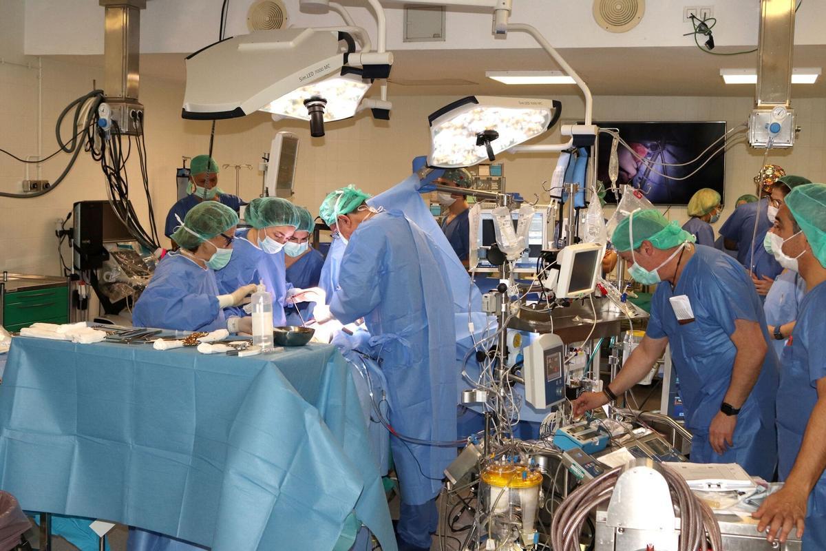 04/02/2025 Profesionales sanitarios intervienen con una técnica compleja de quimio intraarterial para evitar amputaciones de los miembros afectados por melanoma o sarcoma. SALUD ANDALUCÍA ESPAÑA EUROPA SEVILLA HUVM