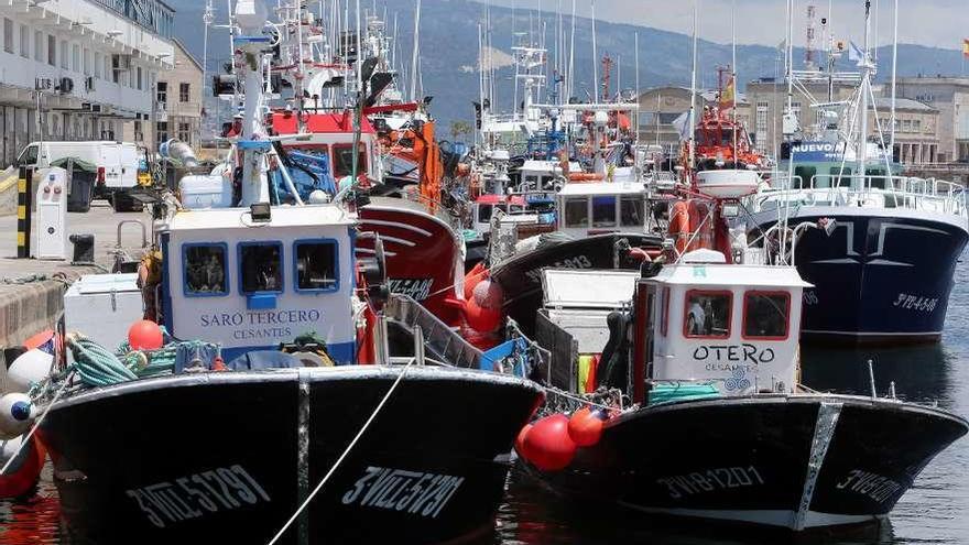 La flota de cerco viguesa, amarrada ayer en el puerto de O Berbés. // Marta G. Brea