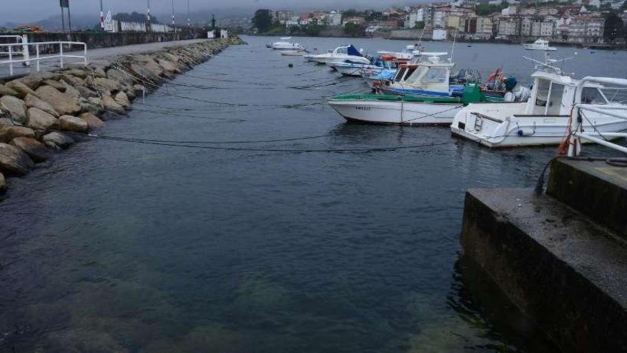 Barcos de la séptima lista de Bueu amarrados a la escollera del dique de la dársena. // Gonzalo Núñez