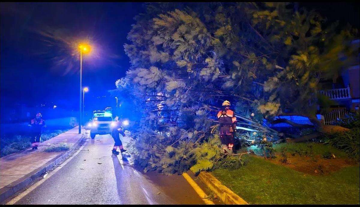 Incidencias por las fuertes rachas de viento en la isla de Tenerife
