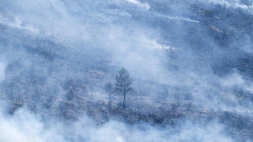 El incendio de Guadalajara ya ha calcinado más de 26.000 hectáreas