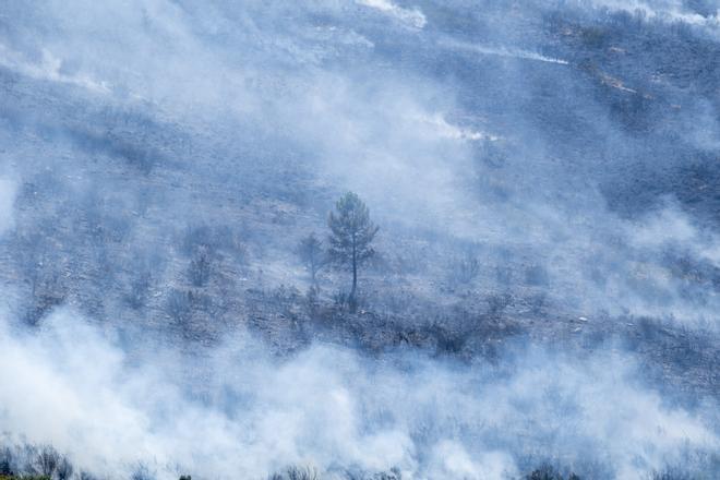 El incendio de Guadalajara ya ha calcinado más de 26.000 hectáreas