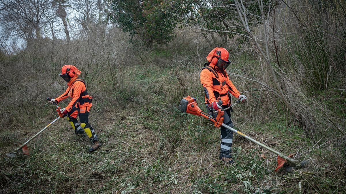 Participantes en el equipo forestal del Programa Arrela't, de la Fundació Formació i Treball, trabajan en el bosque de Montjuïc.