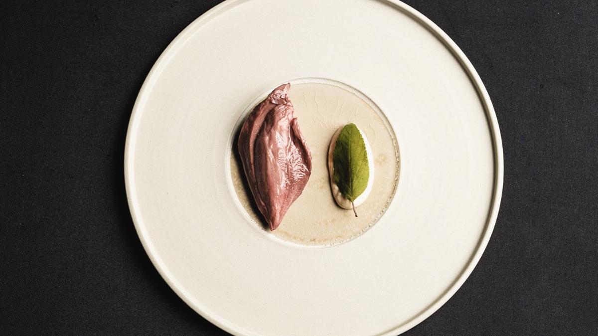 El icónico pichón del Corral de la Morería.