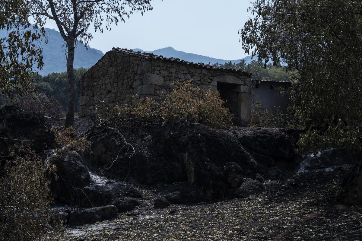 Las imágenes | Diez días de incendio en Jarilla: el adiós al paraíso verde Las imágenes | Diez días de incendio en Jarilla: el adiós al paraíso verde