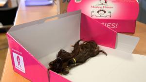 Recogida de donaciones de cabello para la entidad Mechones solidarios, que hace pelucas para personas con cáncer